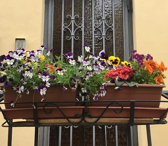 Daire Casa Zaira Bazzano